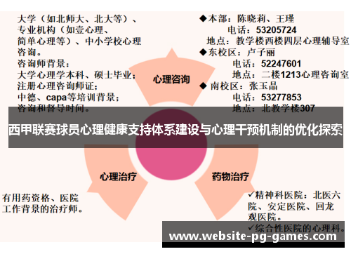 西甲联赛球员心理健康支持体系建设与心理干预机制的优化探索